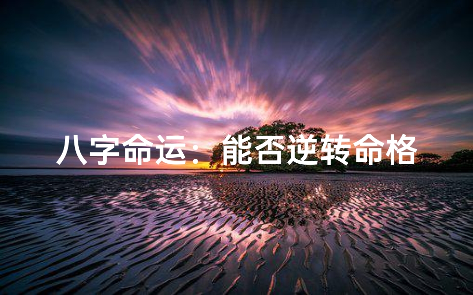 八字命运:能否逆转命格之谜?