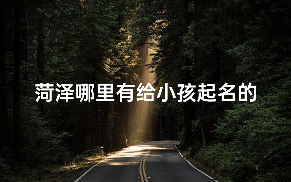 菏泽哪里有给小孩起名的-菏泽周边:哪里有专业小孩起名服务?