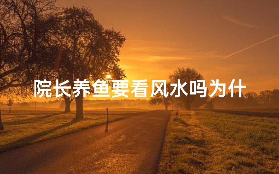 院长养鱼要看风水吗为什么—院长养鱼风水之谜:养鱼真的要看风水吗?-优贝算卦网