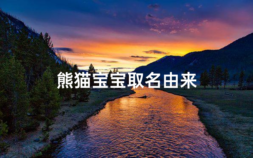 熊猫宝宝取名由来