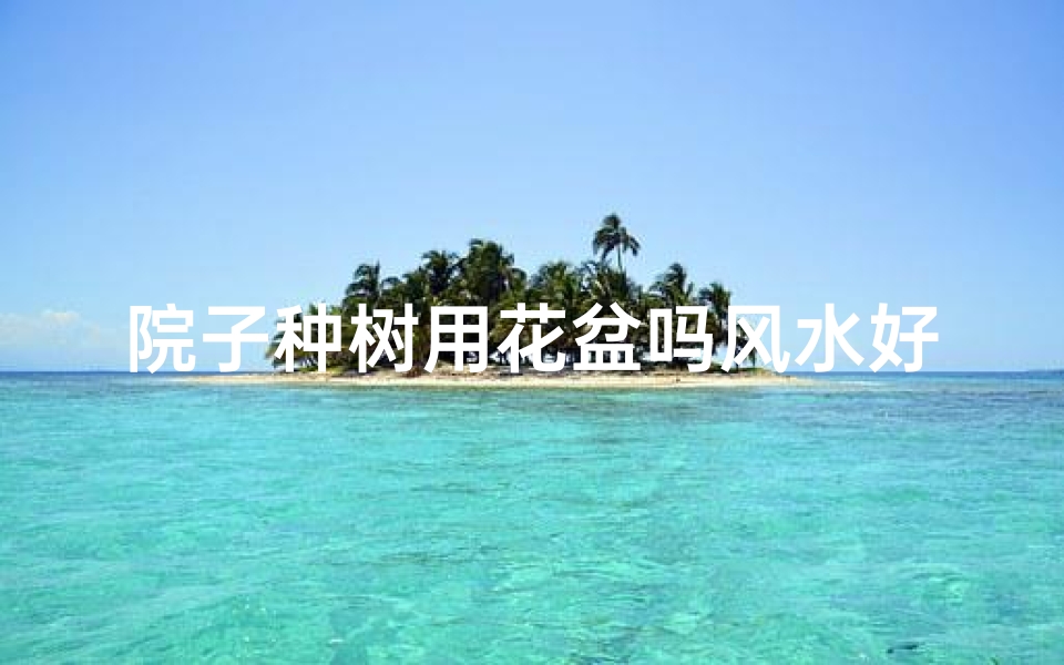 院子种树用花盆吗风水好吗