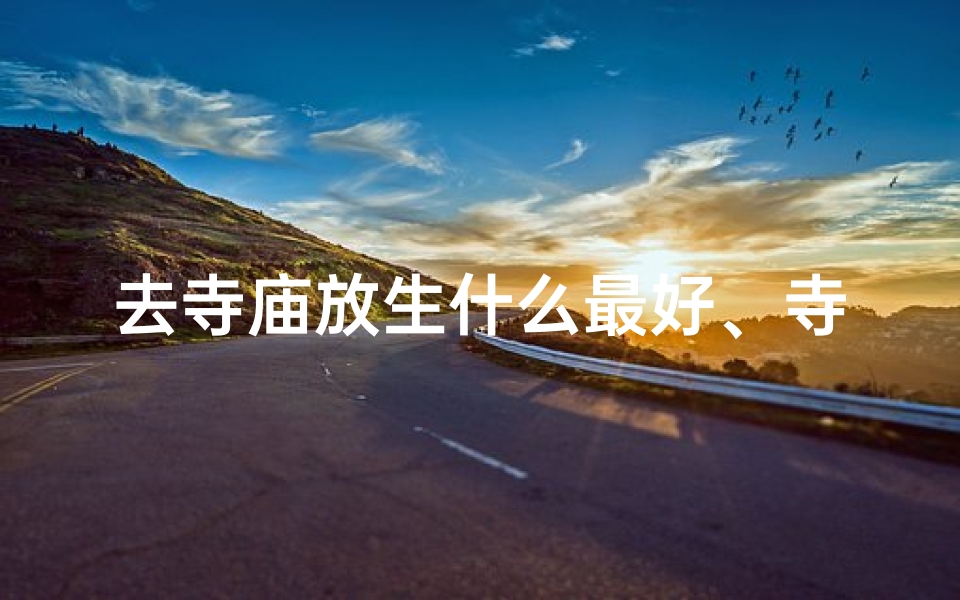 去寺庙放生什么最好、寺庙祈福,放生心灵之旅