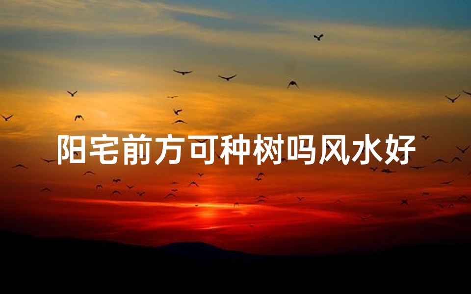 阳宅前方可种树吗风水好吗-阳宅前方种树风水吉凶辨析