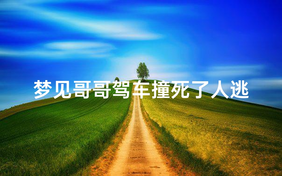 梦见哥哥驾车撞死了人逃逸了;梦到哥哥撞死人