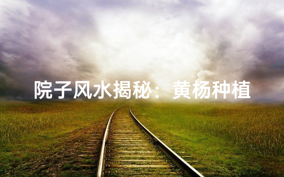院子风水揭秘:黄杨种植宜不宜?