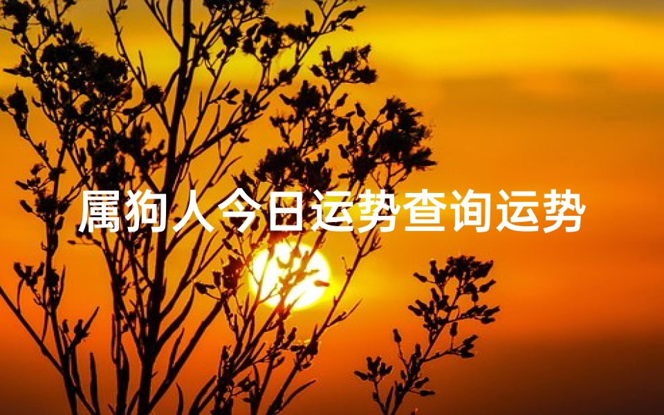 属狗人今日运势查询运势-属狗今日运势：星座财运揭秘