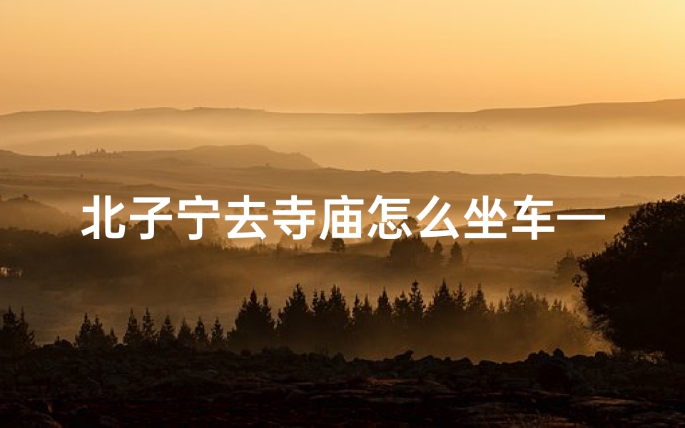 北子宁去寺庙怎么坐车—北子宁去寺庙怎么坐车最方便