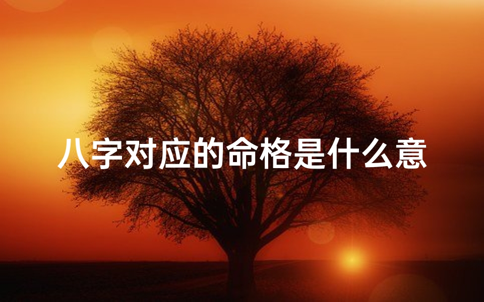 八字对应的命格是什么意思;八字对应命理