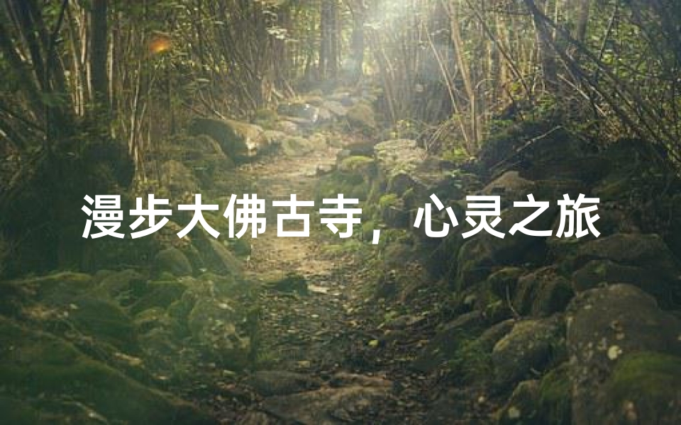 漫步大佛古寺,心灵之旅的宁静时光