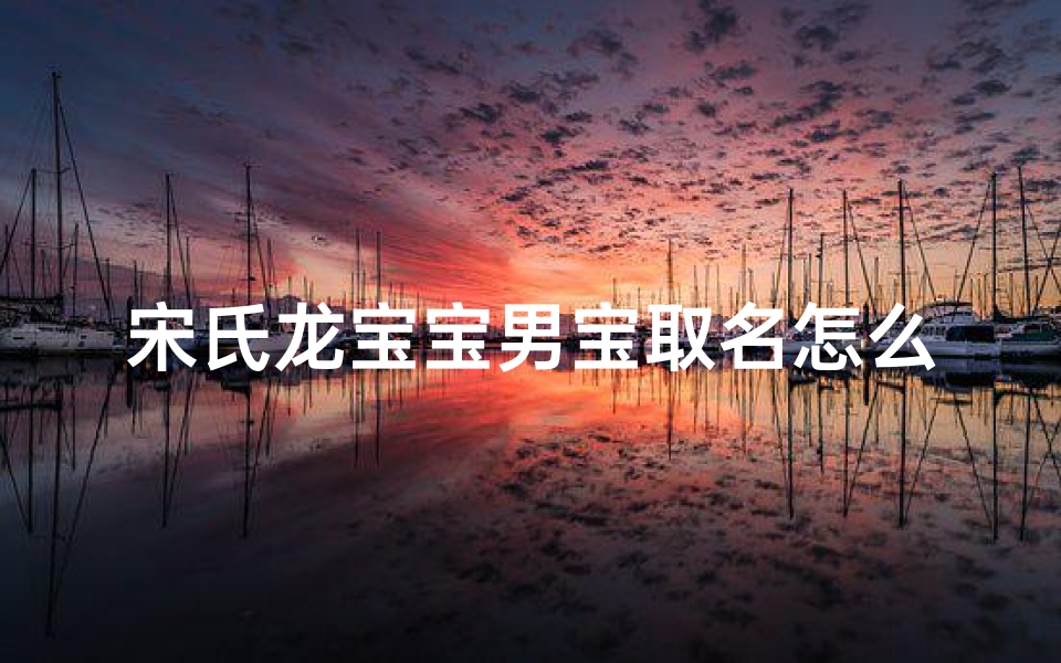 宋氏龙宝宝男宝取名怎么取_宋姓龙凤胎宝宝取名