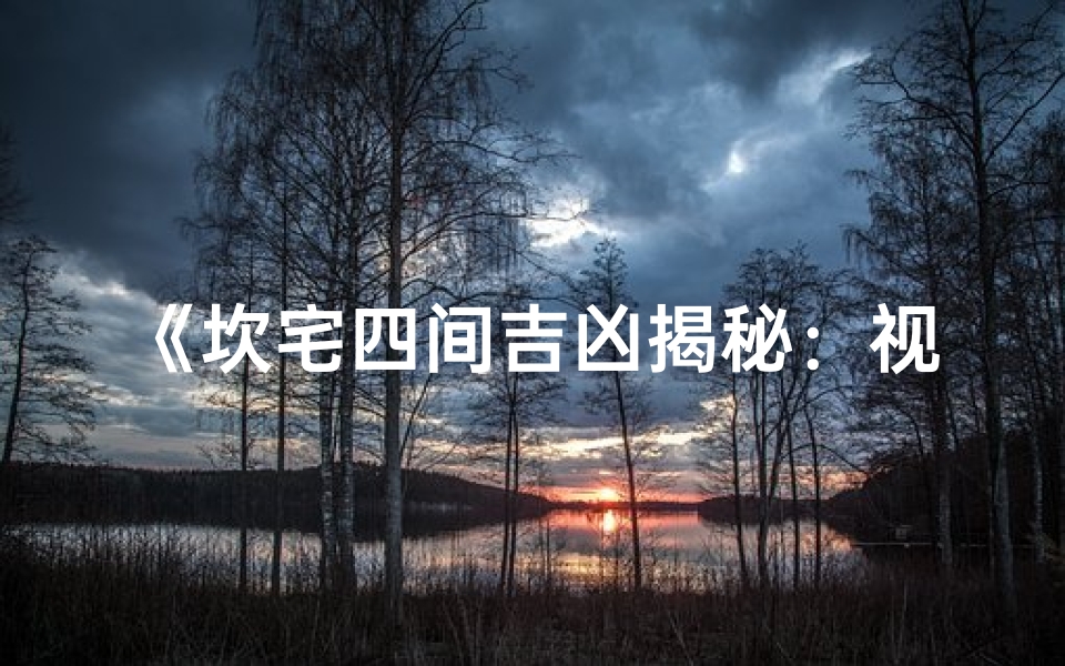 《坎宅四间吉凶揭秘:视频图解风水奥秘》