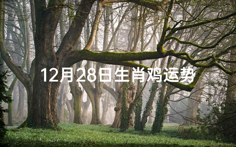 12月28日生肖鸡运势-优贝算卦网