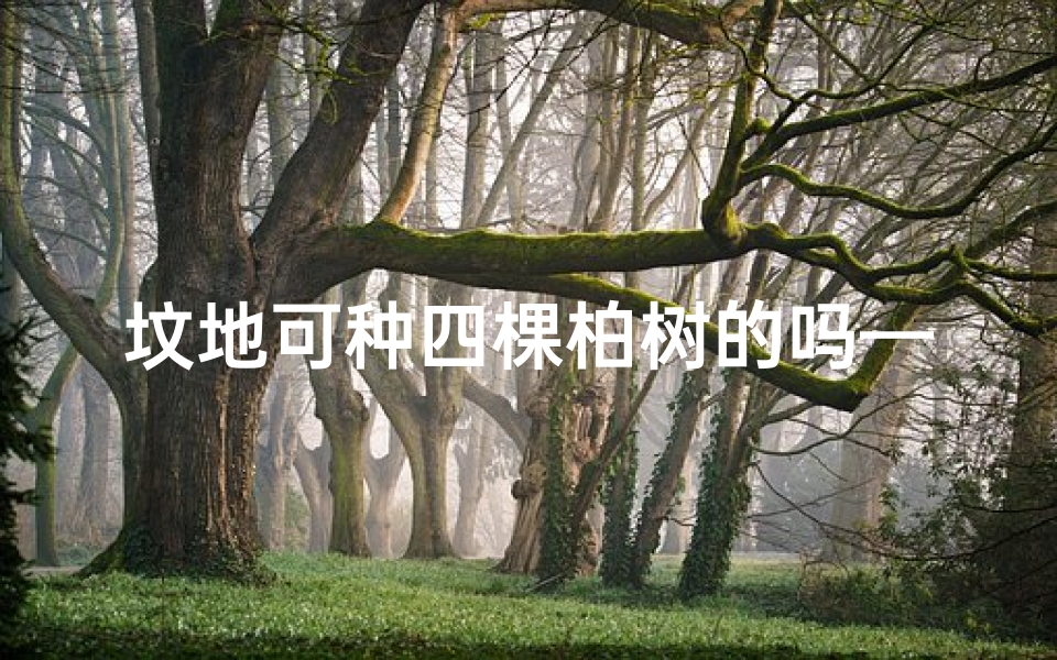 坟地可种四棵柏树的吗—《坟角植柏树:吉凶预兆揭秘》-优贝算卦网