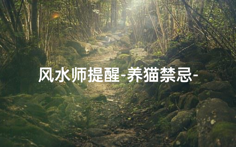 风水师提醒-养猫禁忌-养猫影响风水?破解之道在此