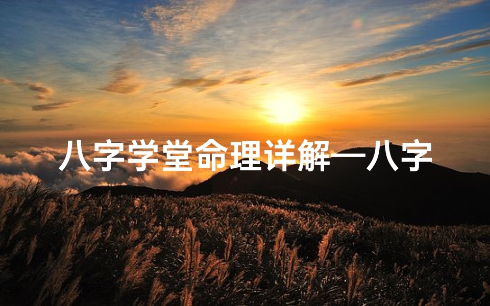 八字学堂命理详解—八字学堂命理详解:揭秘命运奥秘