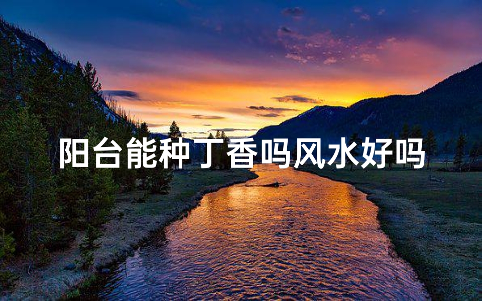 阳台能种丁香吗风水好吗—阳台种丁香花会不吉利吗？