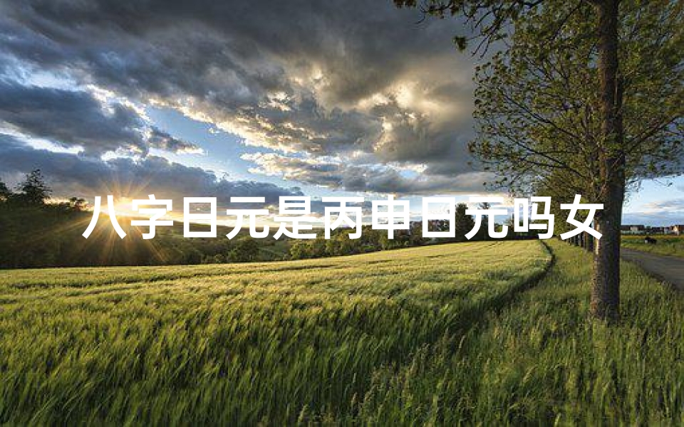 八字日元是丙申日元吗女命—八字日元是丙申日元吗女命好吗
