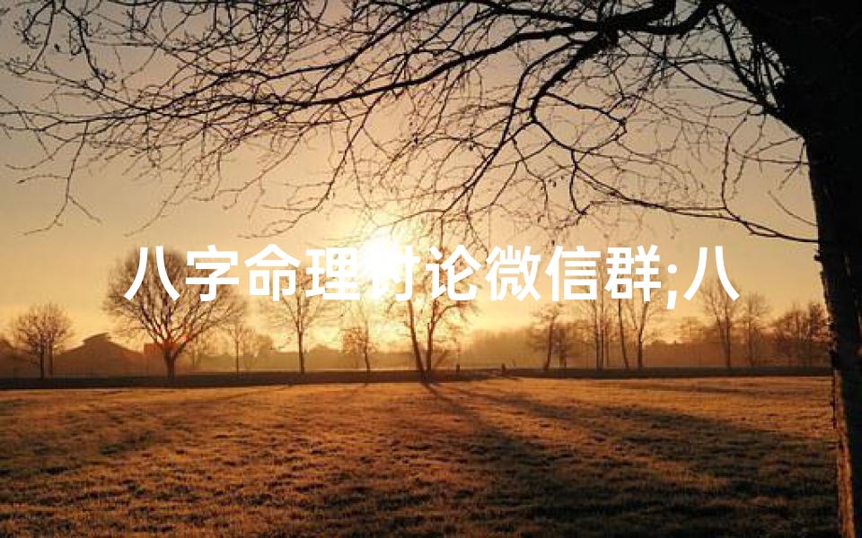 八字命理讨论微信群;八字命理交流群:探寻命运奥秘,共享智慧人生