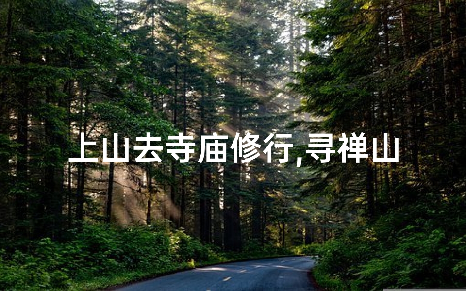 上山去寺庙修行,寻禅山寺,静心修行之旅