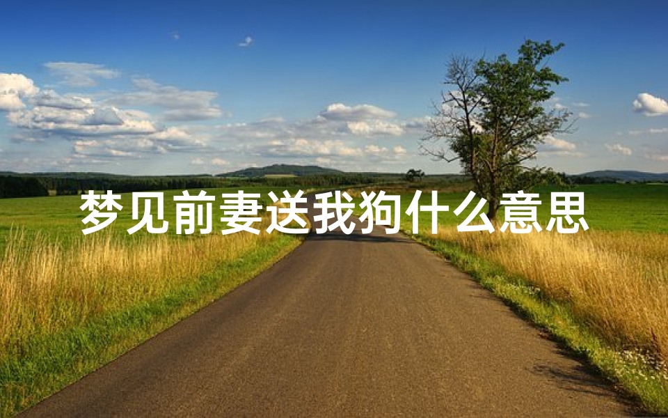 梦见前妻送我狗什么意思,梦见前妻送我狗什么意思周公解梦