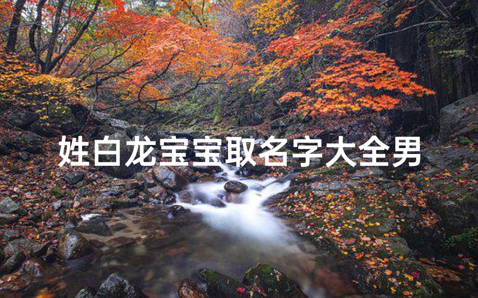 姓白龙宝宝取名字大全男孩-白龙含义