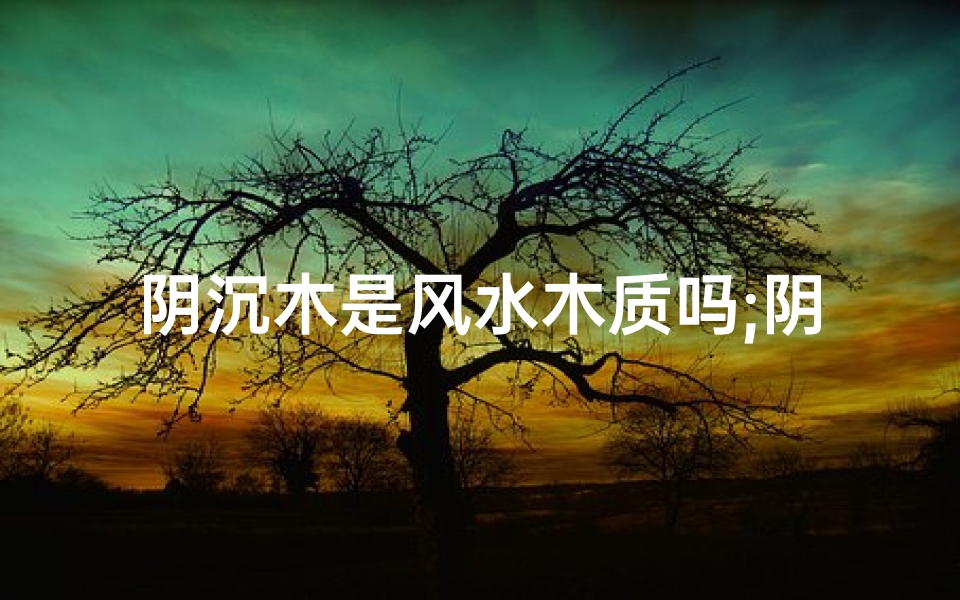 阴沉木是风水木质吗;阴沉木:风水木质之谜揭晓