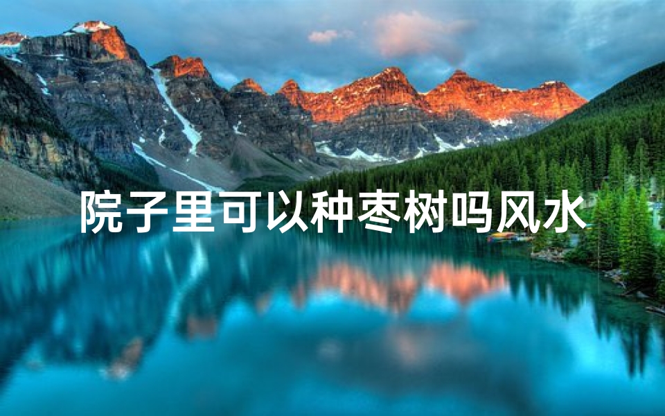 院子里可以种枣树吗风水