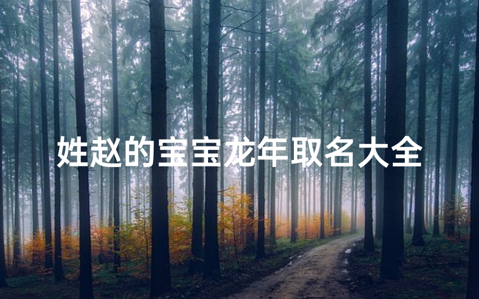 姓赵的宝宝龙年取名大全