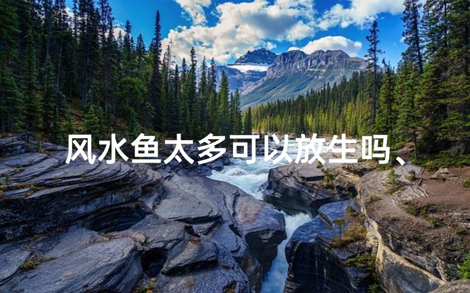 风水鱼太多可以放生吗、风水鱼过多可否放生?探寻平衡之道