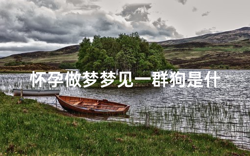 怀孕做梦梦见一群狗是什么征兆,孕妇梦见一群狗
