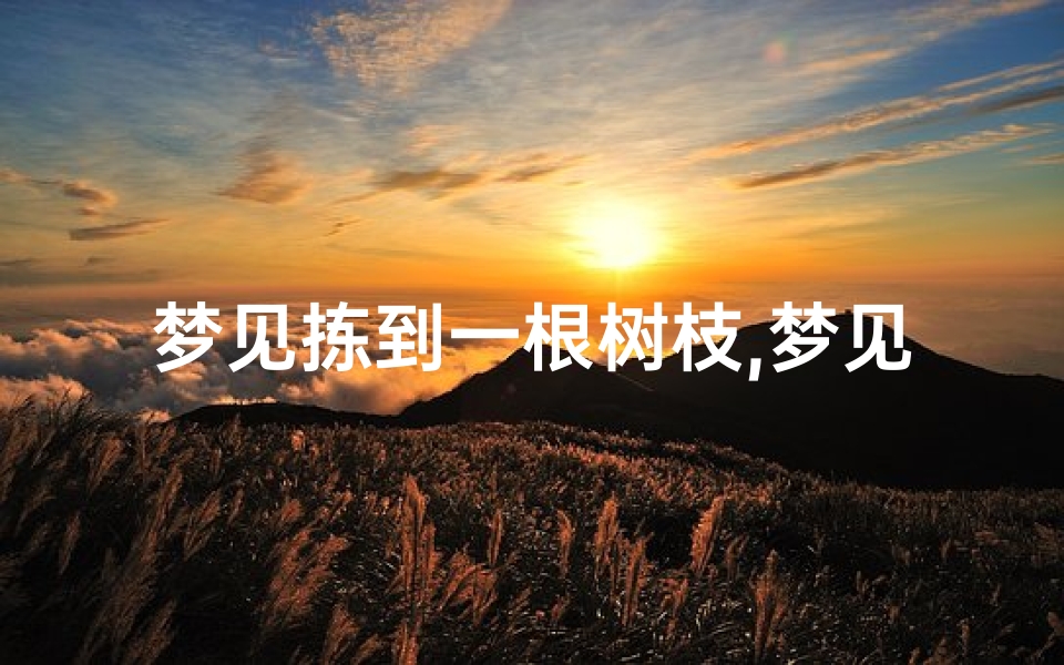 梦见拣到一根树枝,梦见捡一捆树枝