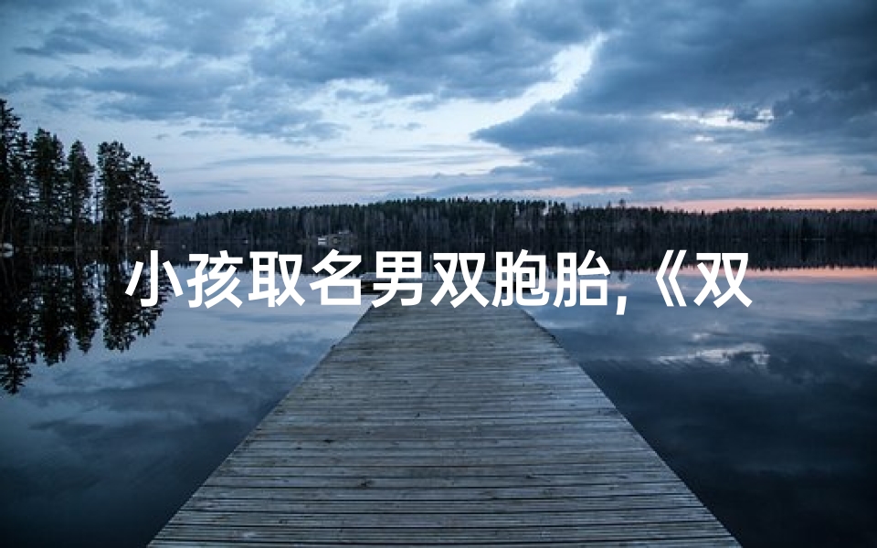 小孩取名男双胞胎,《双胞胎兄弟,寓意美好的名字揭晓》