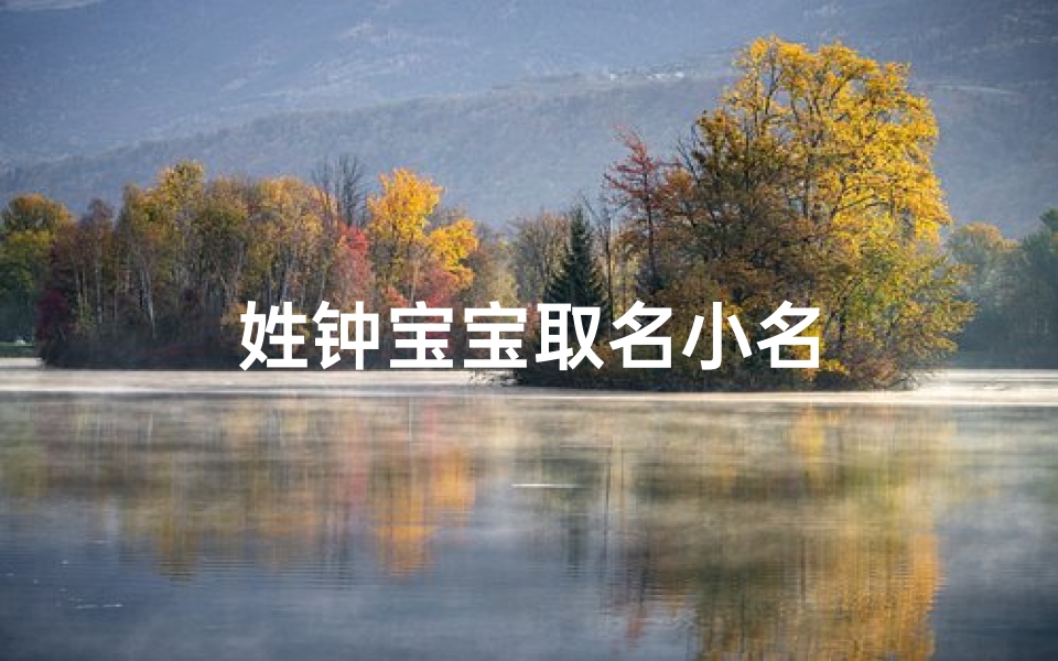 姓钟宝宝取名小名
