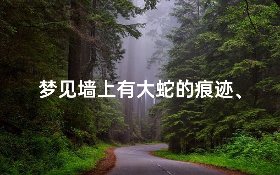梦见墙上有大蛇的痕迹、梦见墙上有大蛇的痕迹怎么回事