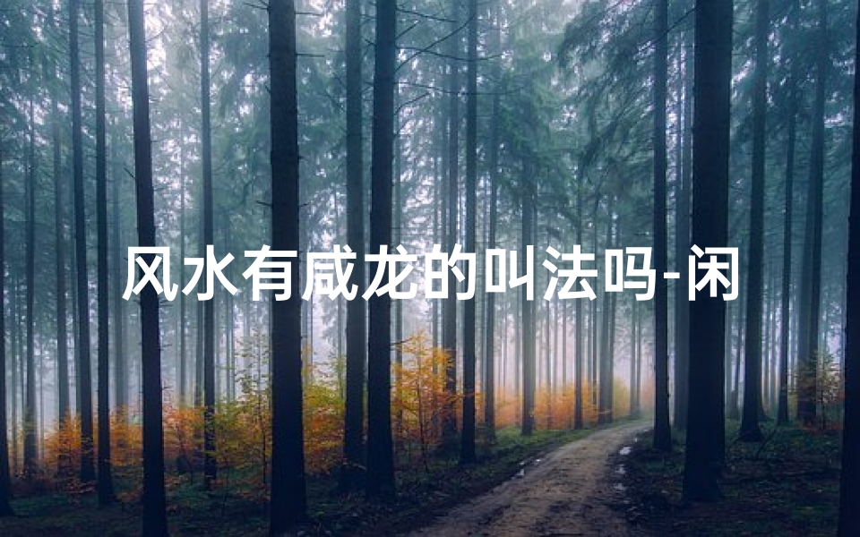 风水有咸龙的叫法吗-闲龙是什么意思