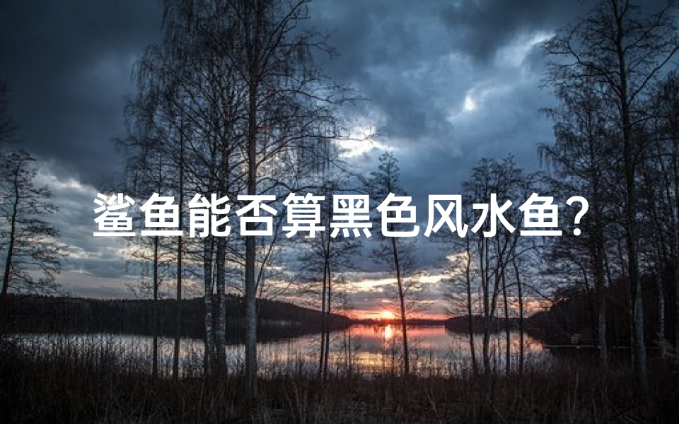 鲨鱼能否算黑色风水鱼?揭秘神秘风水鱼之谜