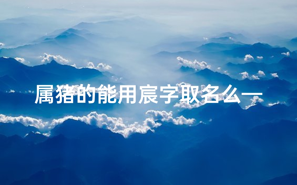 属猪的能用宸字取名么—猪宝宝橙字命名:创意无限,取名的艺术之旅