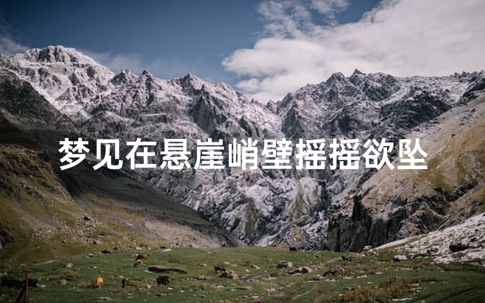 梦见在悬崖峭壁摇摇欲坠(梦见在悬崖峭壁上)