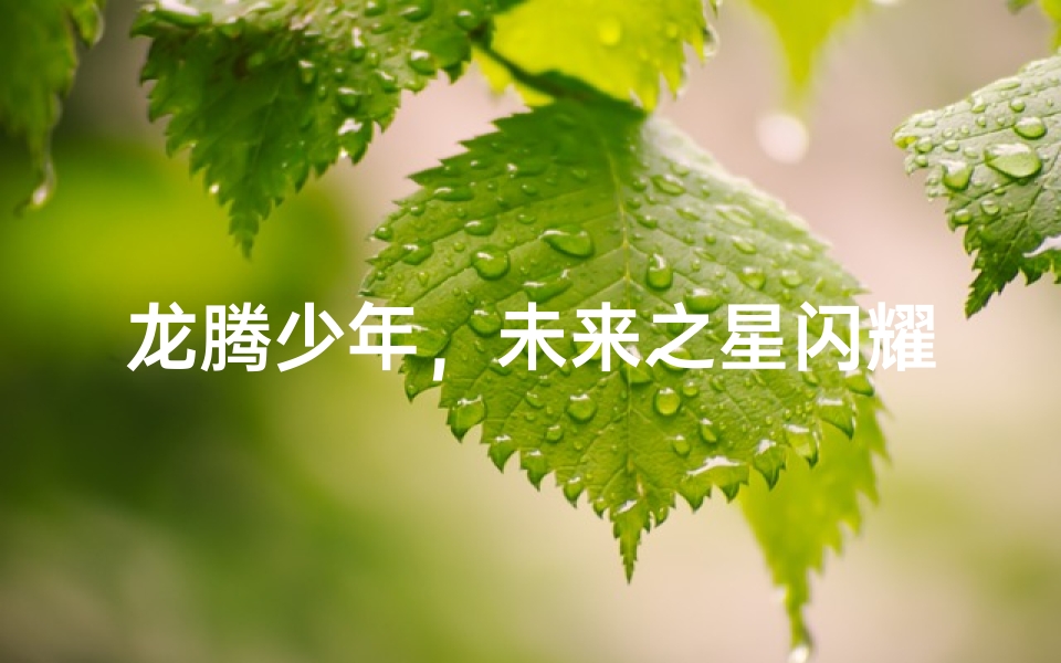 龙腾少年，未来之星闪耀光芒