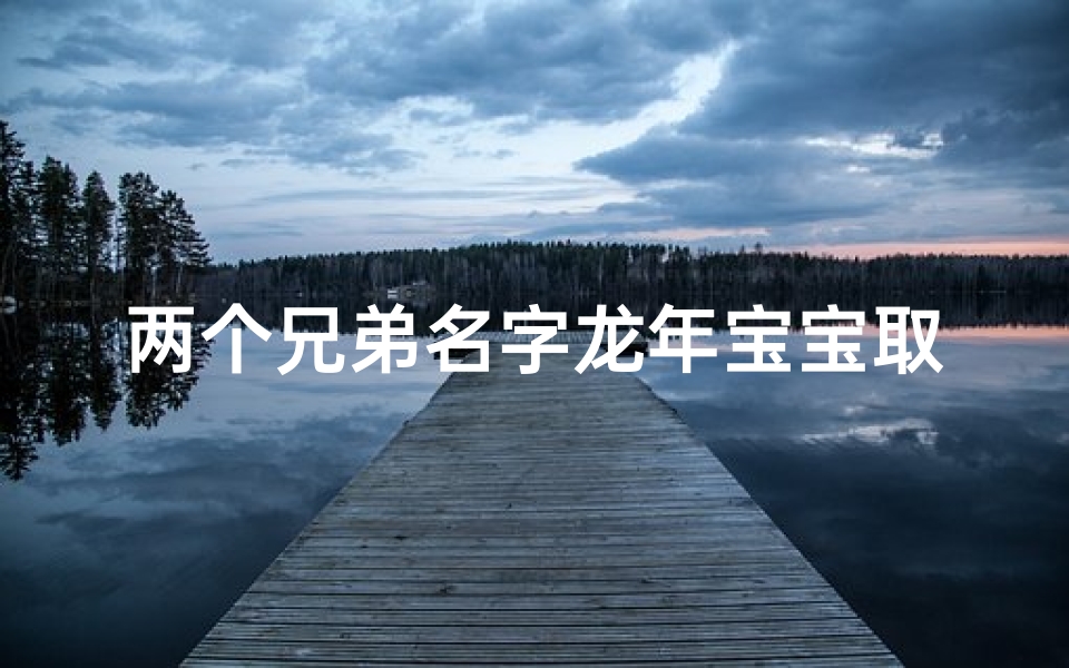 两个兄弟名字龙年宝宝取名、龙腾兄弟,龙年宝宝,兄弟情深,共谱新篇