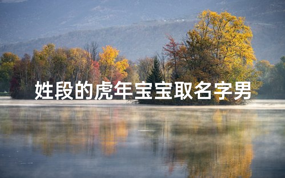 姓段的虎年宝宝取名字男孩(姓段的虎年宝宝取名字男孩子)