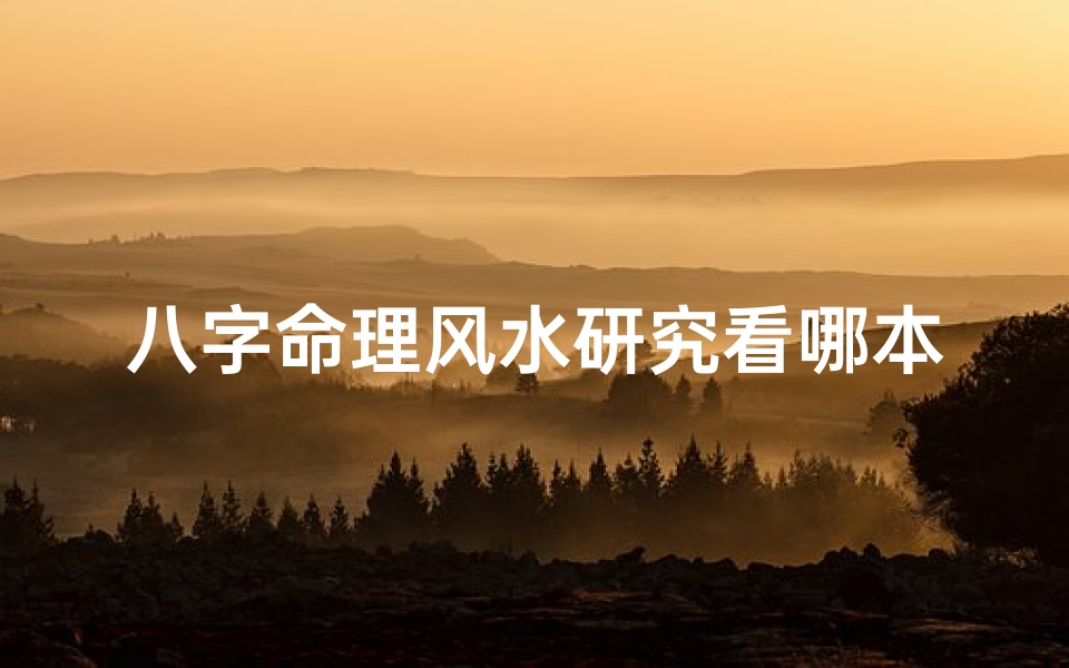 八字命理风水研究看哪本书最好,《八字命理风水探秘:一本揭示命运奥秘的宝典》