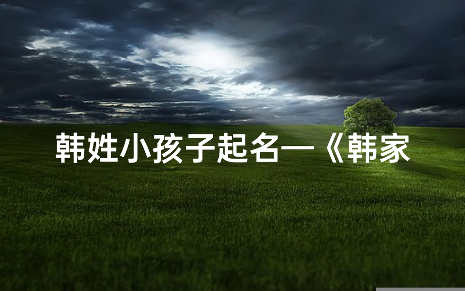 韩姓小孩子起名—《韩家宝贝:小韩童趣成长记》