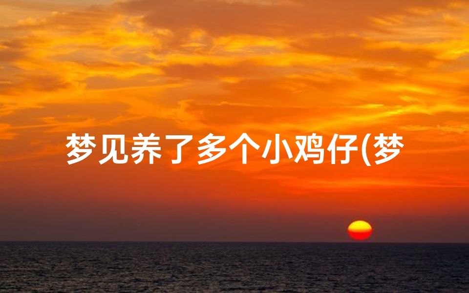 梦见养了多个小鸡仔(梦见养好多小鸡崽子)