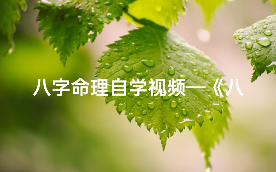 八字命理自学视频—《八字命理自学秘籍:掌握人生运势之道》