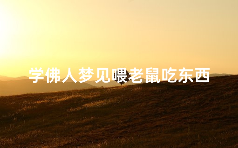 学佛人梦见喂老鼠吃东西—梦见喂食老鼠-优贝算卦网