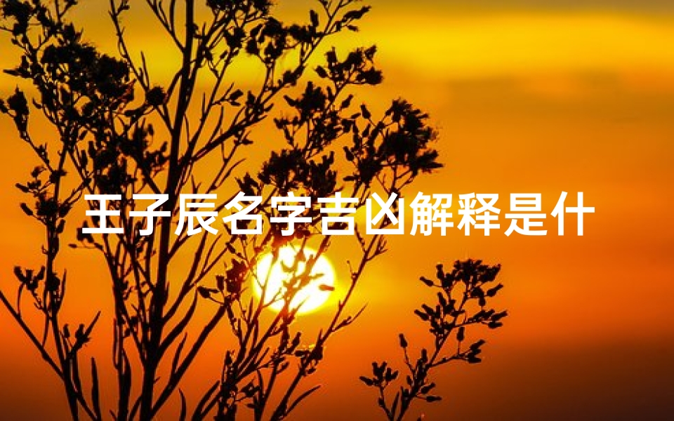 王子辰名字吉凶解释是什么_王子辰名字的含义是什么
