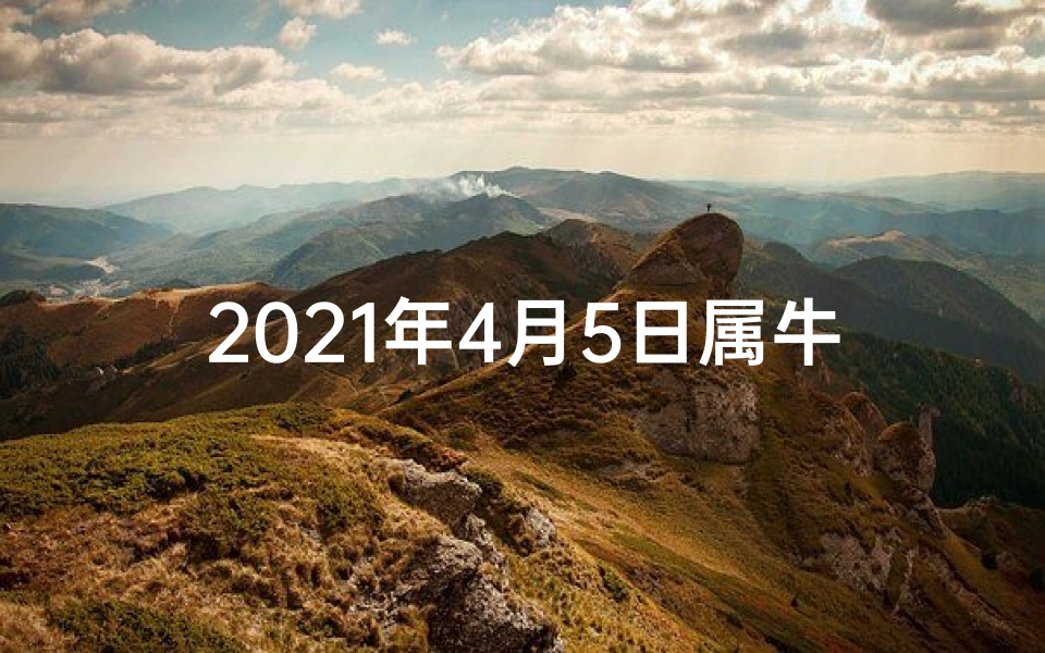 2021年4月5日属牛运势_牛年4月5日运势揭秘:牛气冲天,好运连连