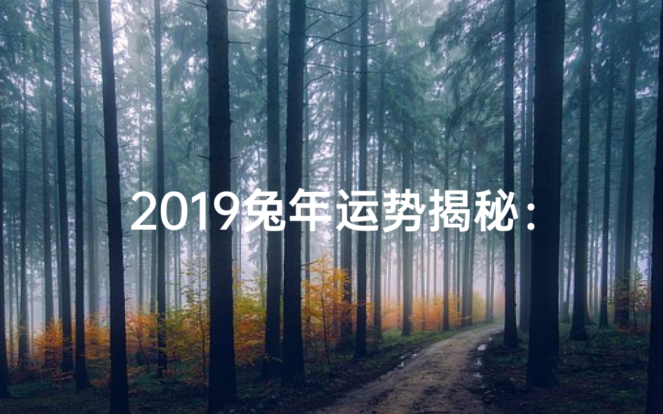 2019兔年运势揭秘:财运亨通,福运连连
