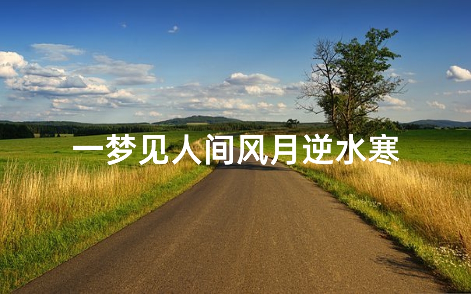 一梦见人间风月逆水寒